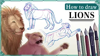 How to draw LIONS - Step by Step Art Tutorial