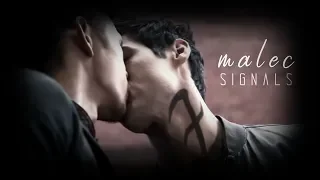 MALEC / Magnus & Alec [+3x19] - Signals || Shadowhunters