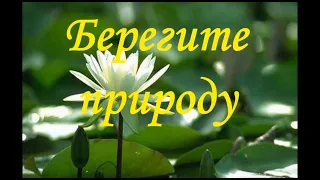 Берегите природу! 5 июня – Всемирный день охраны окружающей среды.