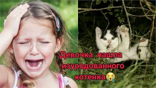 Изувеченный КОТЕНОК тихо умирал в кустах, но маленькая ДЕВОЧКА не смогла пройти мимо...