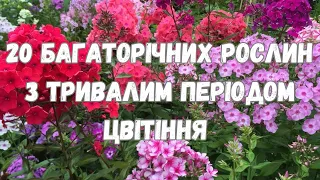 20 БАГАТОРІЧНИХ РОСЛИН З ТРИВАЛИМ ПЕРІОДОМ ЦВІТІННЯ // РОСЛИНИ ЯКІ ДОВГО ЦВІТУТЬ