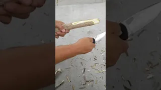 Slow Motion Carving Test - CRKT Hvas Linerlock on Staghorn Sumac