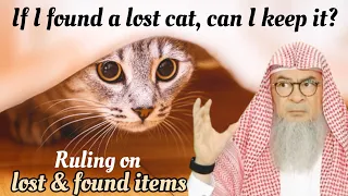 If I found a lost cat, can I keep it? Islamic ruling on lost & found items - assim al hakeem