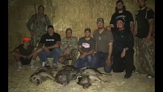 Chad Mendes' Central Cali Wild Boar Hunt| FINZ & FEATHERZ