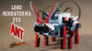 Lego Mindstorms EV3 ANT Robot | #stemeducation #lego