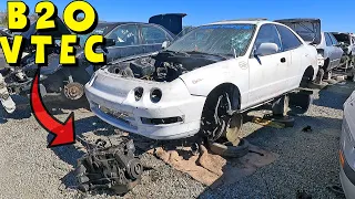 JUNKYARD HUNT with Fred | Engine TEAR DOWN K20a2 & B18b1