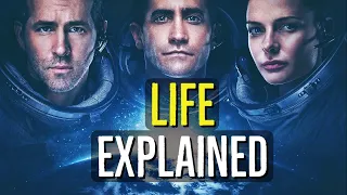 LIFE (Explained)