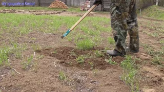 Будни в деревне #2 /Поработал на огороде/