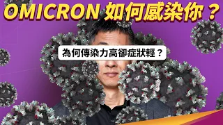 感染 Omicron 多為輕症的原因？細胞感染實驗揭開謎底！