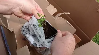 Распаковка посылки от АгроМаркет👌🌱