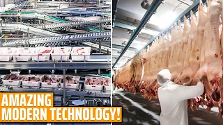 Incredible high-tech pig slaughterhouse - amazing modern technology pig processing factory