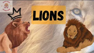 Learn about Lions|Animals for kids |Episode 1| interesting video of lion@Kidokidzstoryhub