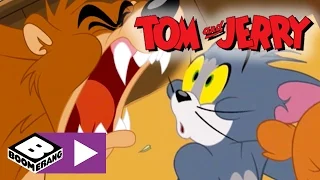 Tom & Jerry | Bear Blame | Boomerang UK