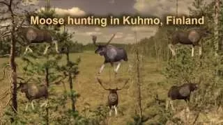 H1 Moose hunting, Kuhmo, Finland.