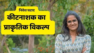 Natural Pest Management | कीटनाशक का प्राकृतिक विकल्प - कृषि में निवेश घटाए