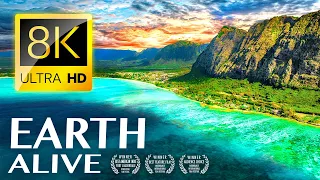 EARTH ALIVE 8K VIDEO ULTRA HD