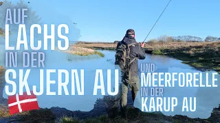 Fishing in Denmark - Salmon and Seatrout Hunting in Skjern A and Karup A