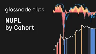 Bitcoin: NUPL by Cohort - Glassnode Clips