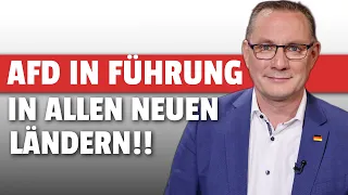 AfD RASIERT alles und FDP fliegt raus!!