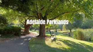 A relaxing evening in the ADELAIDE PARKLANDS with ambient sounds | Adelaide, South Australia (4K)