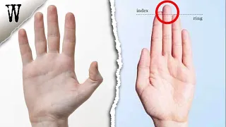 HAND SHAPE ANCESTRY You Shouldn't Ignore