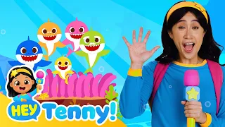 🦈 Tenny meets the Shark Family | Five Little Sharks Jumping on the Bed | Nursery Rhymes | Hey Tenny!