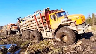 You've never seen anything like this! SnowRunner in real life! Ural, Tatra, MAN, IFA Off-Road