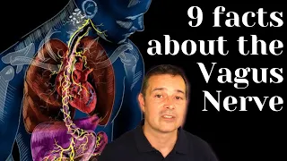 9 Facts about the Vagus Nerve that you need to know now!
