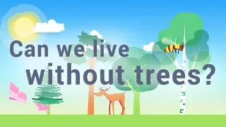 CAN WE LIVE WITHOUT TREES ? UK-sub | Best educational video (all ages)