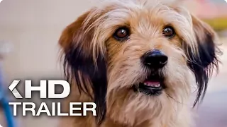 BENJI Teaser Trailer (2018) Netflix