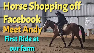 I Bought a New Horse from a Facebook Video - Meet Andy