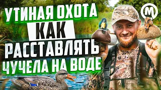 Утиные истории! Как расставлять УТОК на воде?