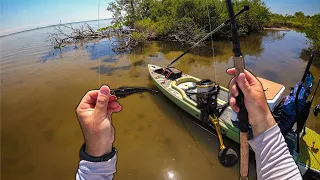 Paddleboard Fishing Florida Flats with the New NLBN Mini Mullet!!