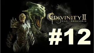 Let´s Play - Divinity 2 : Ego Draconis [Part 12] GER/HD/BLIND "ÄÄÄHM-UPS??"