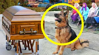The dog came to his owner’s funeral. What happened next left everyone in tears…