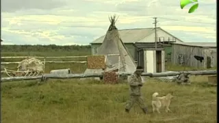 2 года в поселке Щучье ждали врача