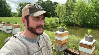 Beekeeping in the Rain - (Building a Bee Business Vlog #47)