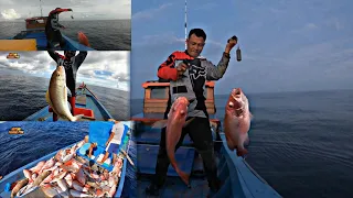 Fishing in the nests of RED SNAPPER tuna bait Total catch is over 700kg!!