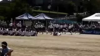 中学生 体育大会 1年男女混合リレー