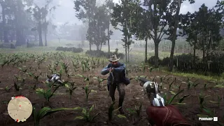 RDR2 Universal revolver Le Ma, the most powerful weapon among all revolvers