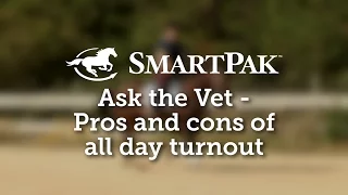 Ask the Vet - Pros and cons of all day turnout