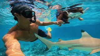 BABY CALI's FIRST SWIM with SHARKS!