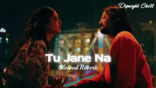 Tu Jane Na - Atif Aslam | Slowed And Reverb Lofi Mix