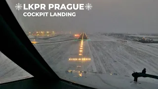 Boeing 737-800 | SNOWY Cockpit Landing at Prague | Evening Landing, Pilot's View [4K]