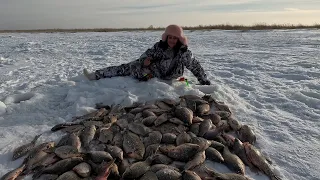 Нашли ИХ тропу, где КРУПНЯК идёт бесконечным потоком...