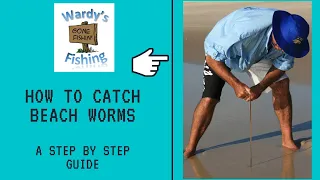 How to Catch Beach Worms : A Step by Step Guide