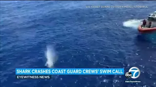 Coast Guard shoots at shark in close encounter during crew's swim call in Pacific Ocean | ABC7