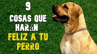 9 COSAS que Harán FELIZ a tu PERRO🐾