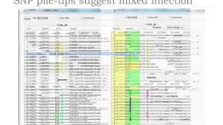 Metagenomics for pathogen detection and characterisation in mummies