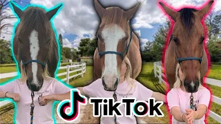 Recreating EQUESTRIAN TIK TOKS! PART 3!!